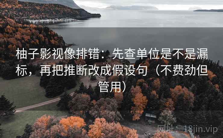 柚子影视像排错：先查单位是不是漏标，再把推断改成假设句（不费劲但管用）